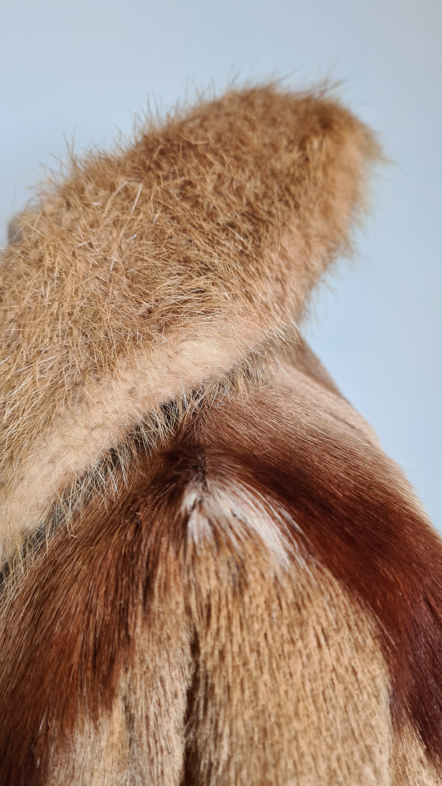 Impala fur coat 1970s M